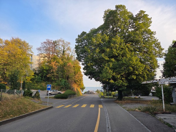 Fussgängerstreifen Blattenweg.jpg